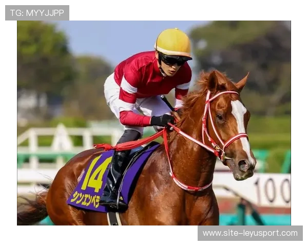 伊朗骑手吉塔·日特科维奇荣获2024年最佳障碍赛骑手奖，表彰其卓越表现。