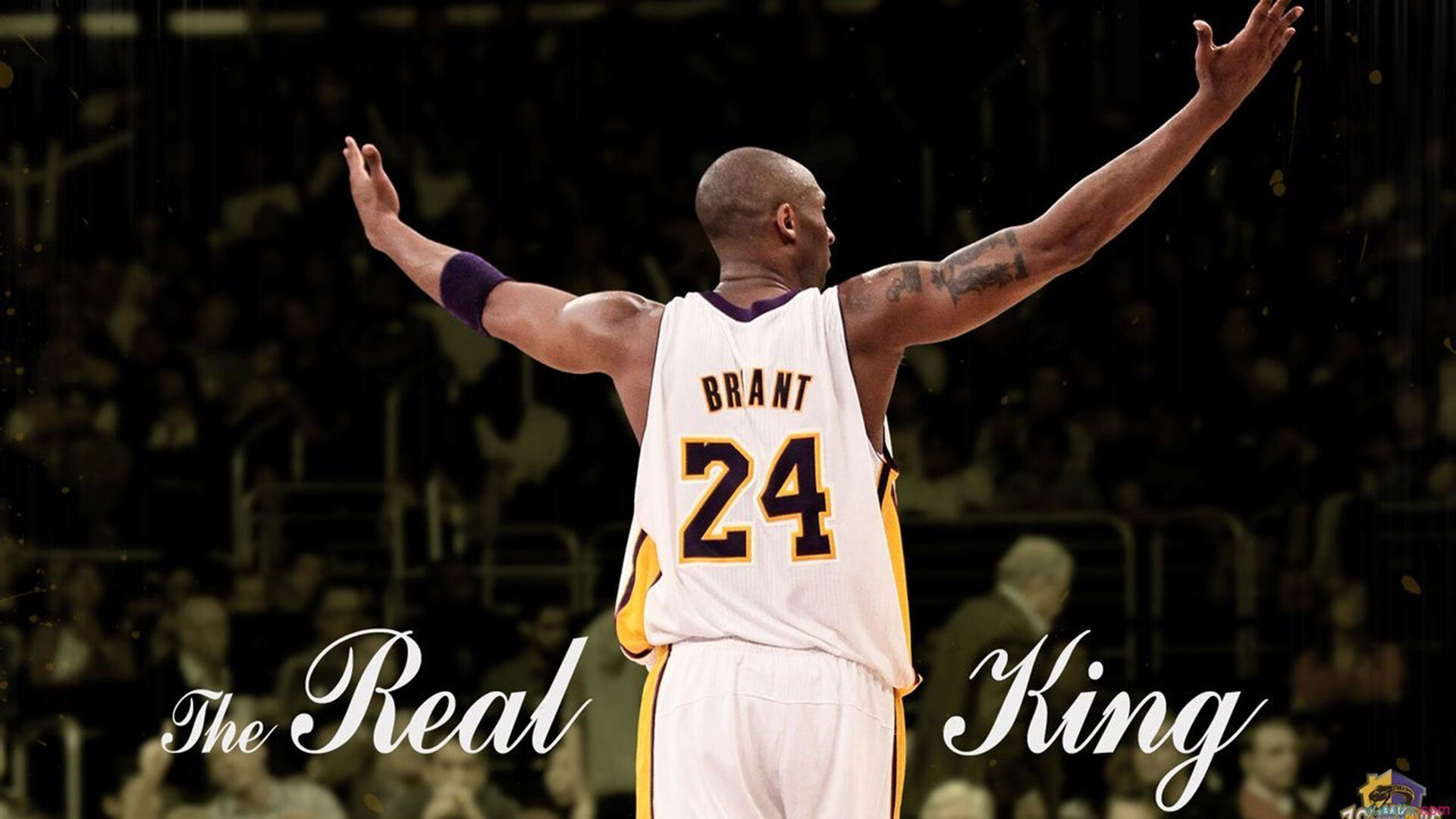 体育频道推出战术深度栏目邀请教练球员解读场上关键节点，体育频道官网